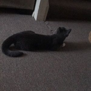 Meet your Posher, Jarod